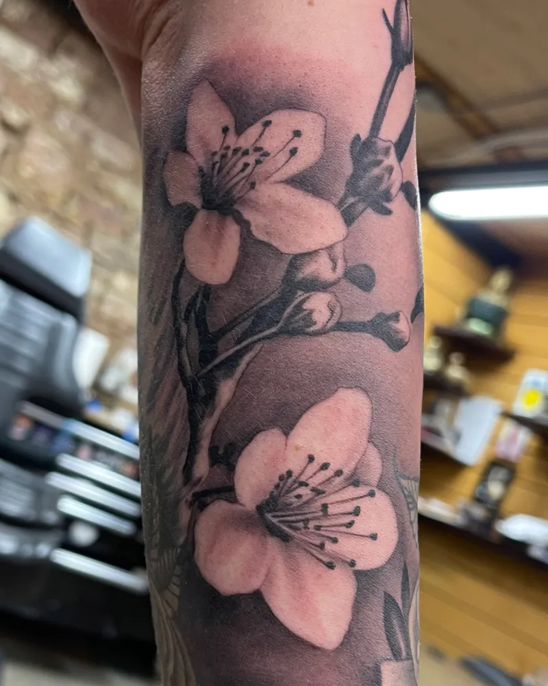 Black and gray cherry blossom branch tattoo on the forearm